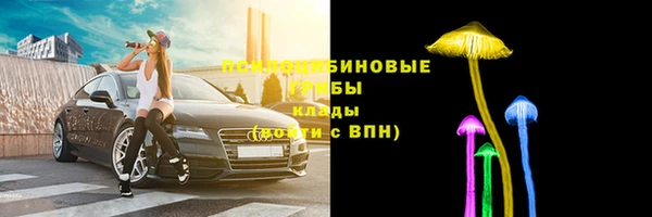 бошки Пересвет