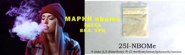 бошки Пересвет