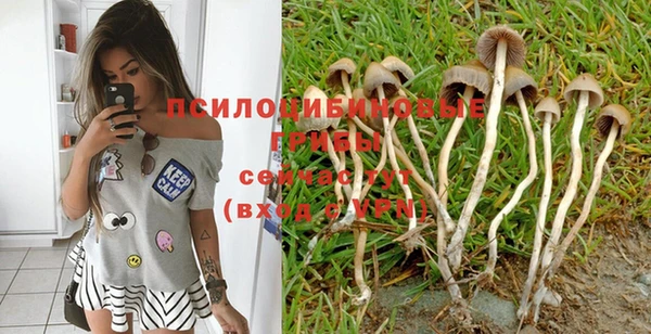 спайс Пестово